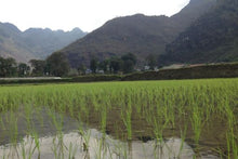 Vietnam Extension: North Vietnam