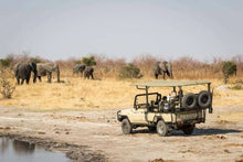 Best of Botswana and Zimbabwe