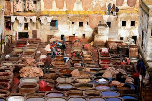 Marrakech - Tanneries