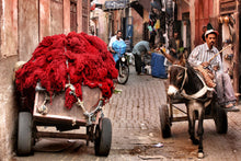 Marrakech_Wool Cart and donkey