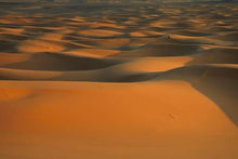 Merzouga Dunes