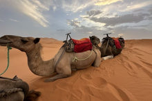 Curated Morocco