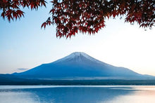 Mt Fuji
