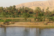 Countryside views from Nile Cruise
