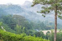 View from Nine Skies Ella
