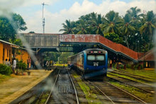 Nuwara Eliya