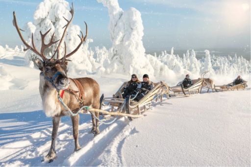 Santa's Igloos Arctic Circle