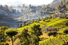 Sri Lanka landscape