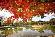 Gyeongbokgung Palace_Hyangwonjeong Pavilion