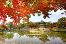 Seoul_Gyeongbokgung Palace_Hyangwonjeong Pavilion