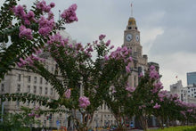 Shanghai Citystop
