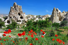 Goreme Fairy Chimneys