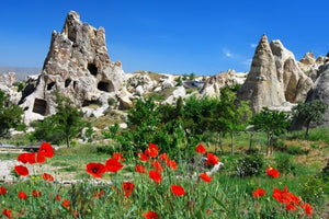 Goreme Fairy Chimneys