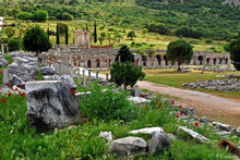 Classics of Turkey