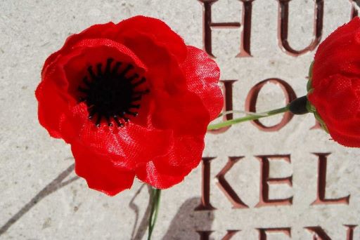 Memorial Poppy