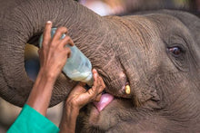 Enchanting Sri Lanka - Women's Only Tour