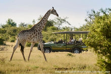 Victoria Falls River Lodge - Game Drive