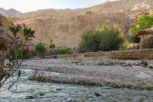 Wadi Shab