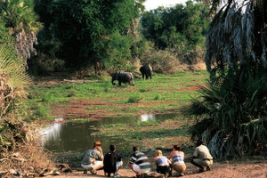 Zambia - Walking Safari