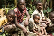 Gorilla Experience Bwindi Impenetrable Forest