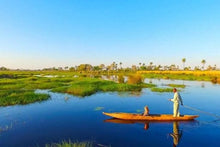 Best of Botswana and Zimbabwe