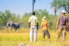 Best of Botswana and Zimbabwe