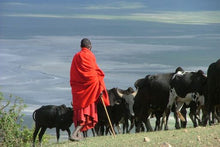 Small Group Northern Tanzania Adventure Safari
