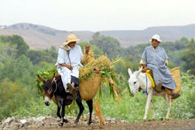 Discover Morocco (Marrakech dep)