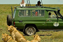 Small Group Northern Tanzania Adventure Safari