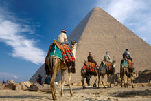 Camels in front of Cairo Pyramids