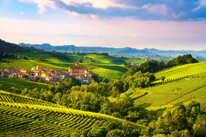 Vineyards and Royal Residences of Piedmont
