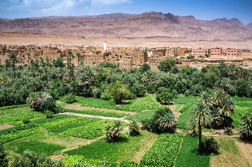 Moroccan Spice Market