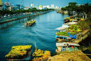 Vietnam Extension: Saigon & the Mekong Delta