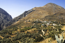 Delphi 2 Days