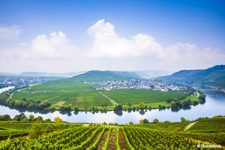 The Valley of the romantic Rhine, the Moselle and the Main (port-to-port cruise)