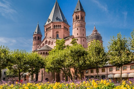 The romantic Rhine Valley and the rock of the Lorelei (port-to-port cruise)