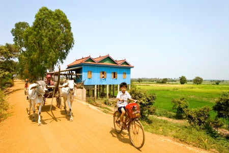 From Siem Reap to the Mekong Delta (port-to-port cruise)
