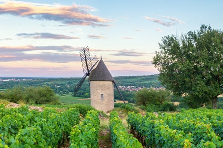 Fine Food and Wines on a Cruise through the Burgundy Region (port-to-port cruise)