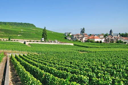 France at its Finest from the Champagne Region to Paris (port-to-port cruise)
