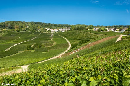 France at its Finest from Paris to the Champagne Region (port-to-port cruise)