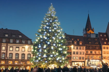 The Magic of Christmas: Savory delights and holiday traditions on a Rhine River cruise (port-to-port cruise)
