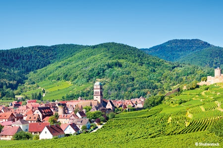 Alsace: land of tradition and gastronomy (port-to-port cruise)