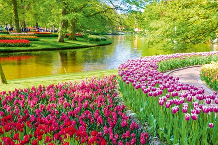 Springtime in Holland (port-to-port cruise)
