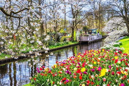The romantic Rhine valley and Holland (port-to-port cruise)