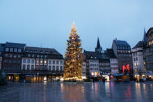Christmas in Alsace and show at the Royal Palace (port-to-port)