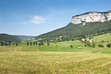 A trip to admire the beautiful scenery of the Rhone valley (port-to-port cruise)